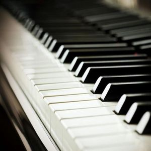 色情淫秽视频网站在线看
