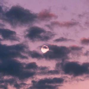 色情淫秽视频网站在线看
