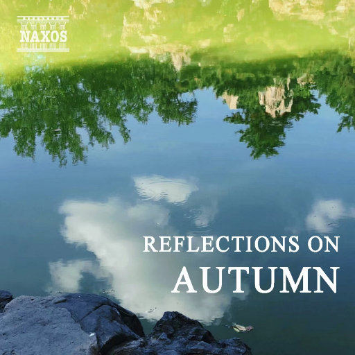 色情淫秽视频网站在线看
